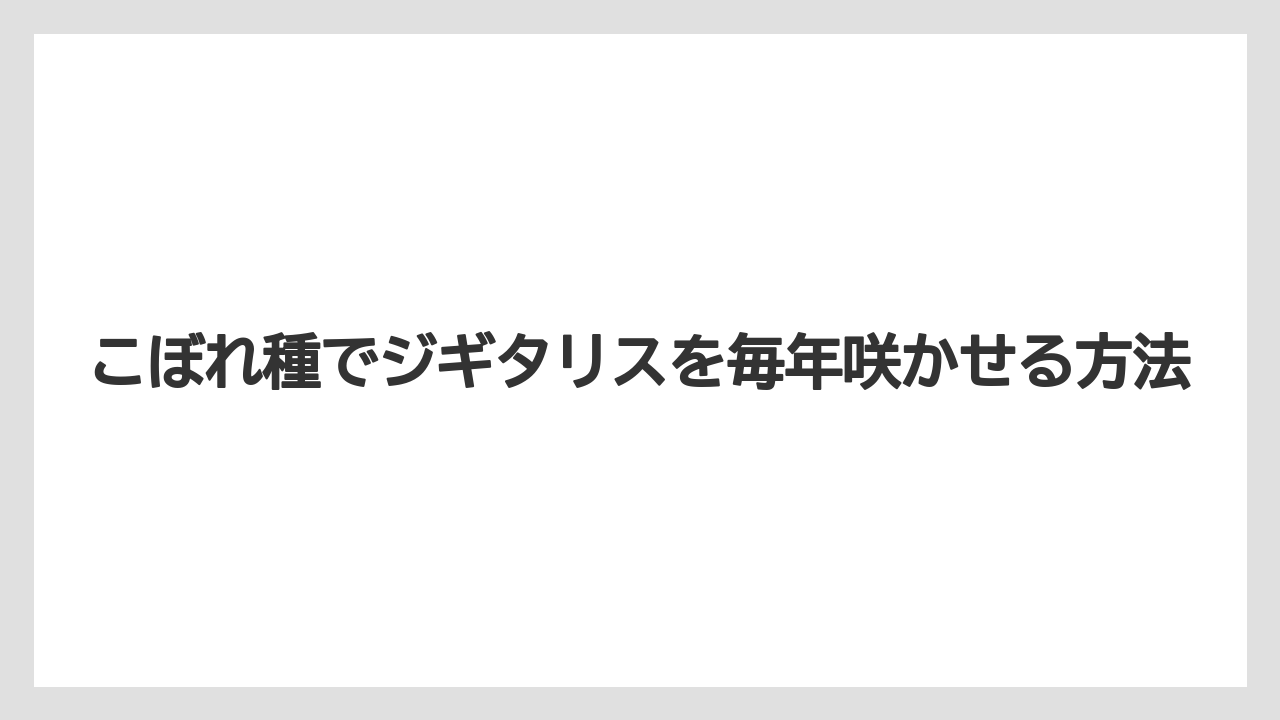 【栽培】【農園】【農業】こぼれ種でジギタリスを毎年咲かせる方法