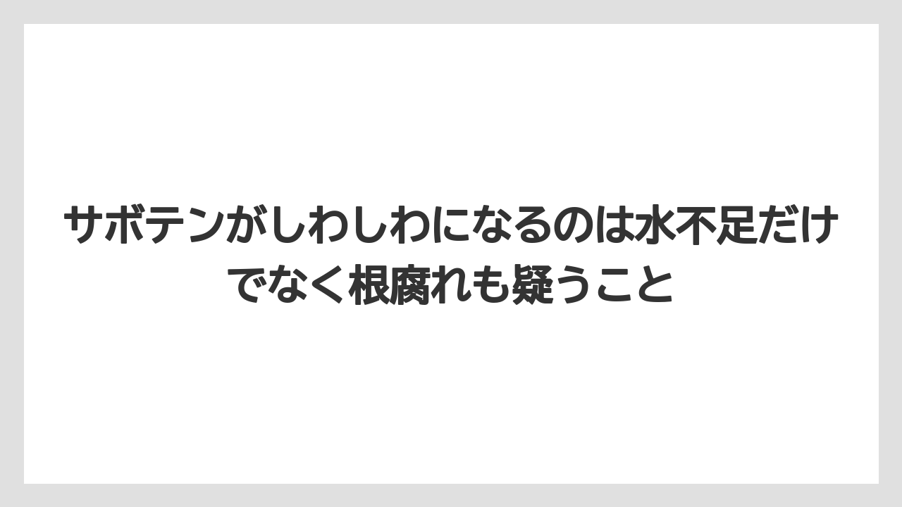 【サボテン】【危険】【枯れ】【栽培】サボテンがしわしわになるのは水不足だけでなく根腐れも疑うこと