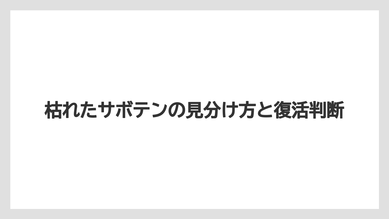 枯れたサボテンの見分け方と復活判断