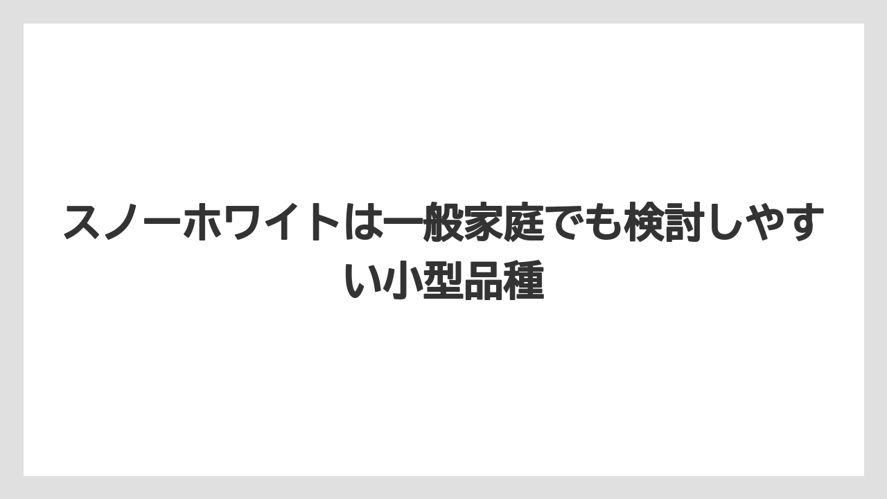 【栽培】【農園】【農業】スノーホワイトは一般家庭でも検討しやすい小型品種