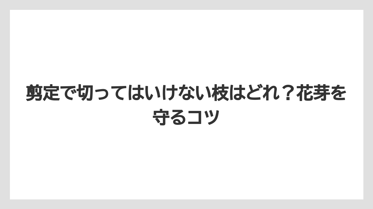 【栽培】【農園】【農業】剪定で切ってはいけない枝はどれ？花芽を守るコツ