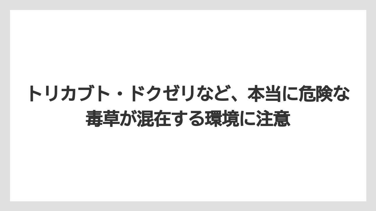 【栽培】【農園】【農業】トリカブト・ドクゼリなど、本当に危険な毒草が混在する環境に注意