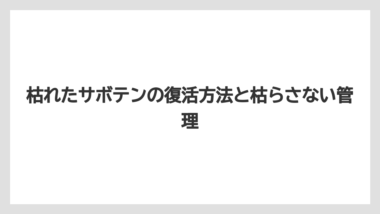 【サボテン】【枯れ】【栽培】サボテンが枯れたらどうなるかを知ると捨て時が判断しやすい
