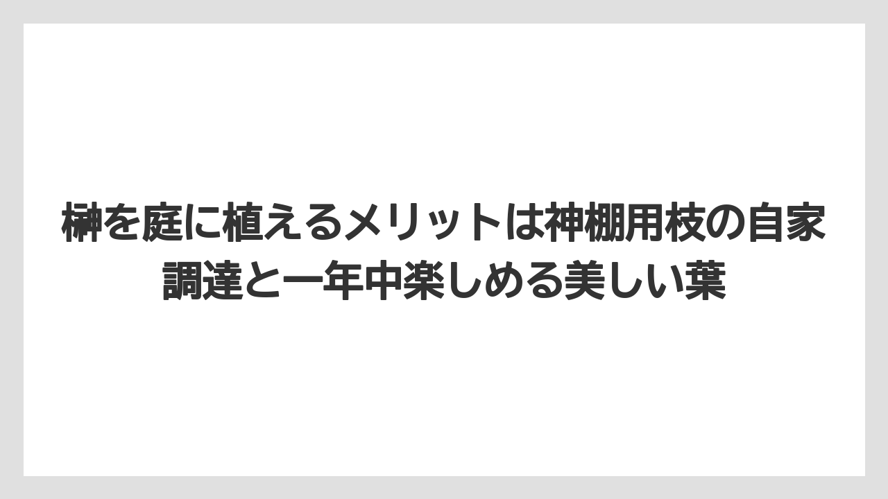 【いけない】【庭】【栽培】【植え】【育て方】榊を庭に植えるメリットは神棚用枝の自家調達と一年中楽しめる美しい葉