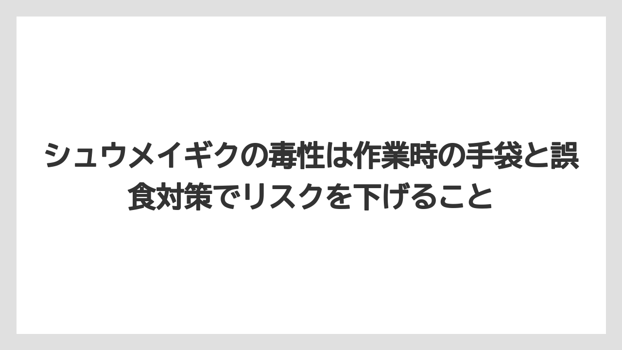 【栽培】【農園】【農業】シュウメイギクの毒性は作業時の手袋と誤食対策でリスクを下げること