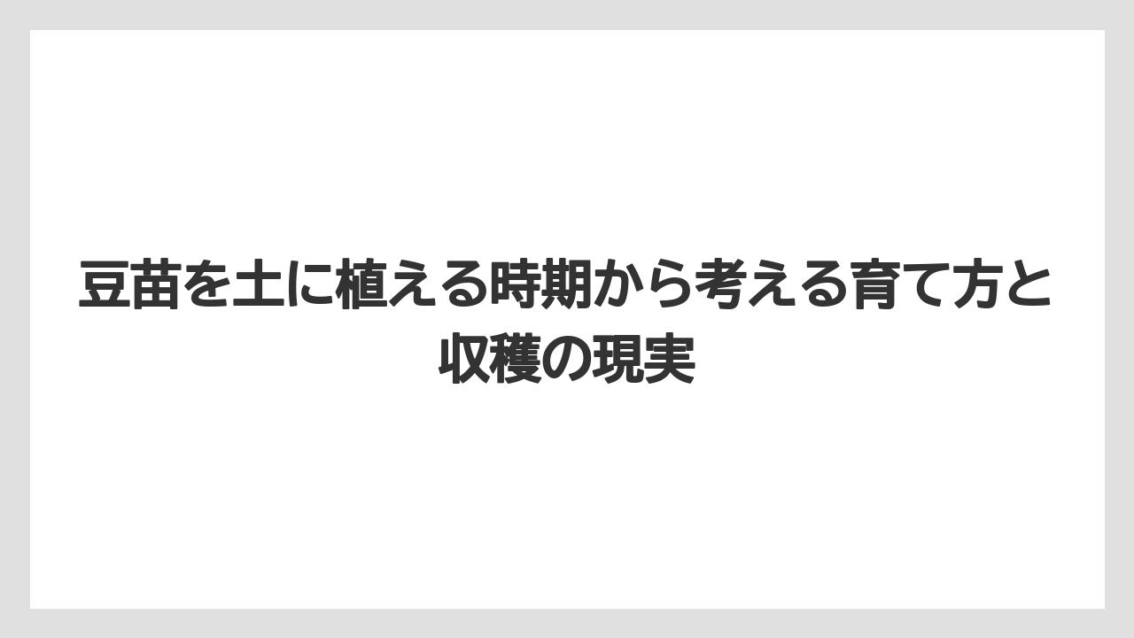 【支柱】【栽培】【豆苗】【農業】地域差は気温15〜20℃前後を目安に考えると判断しやすい