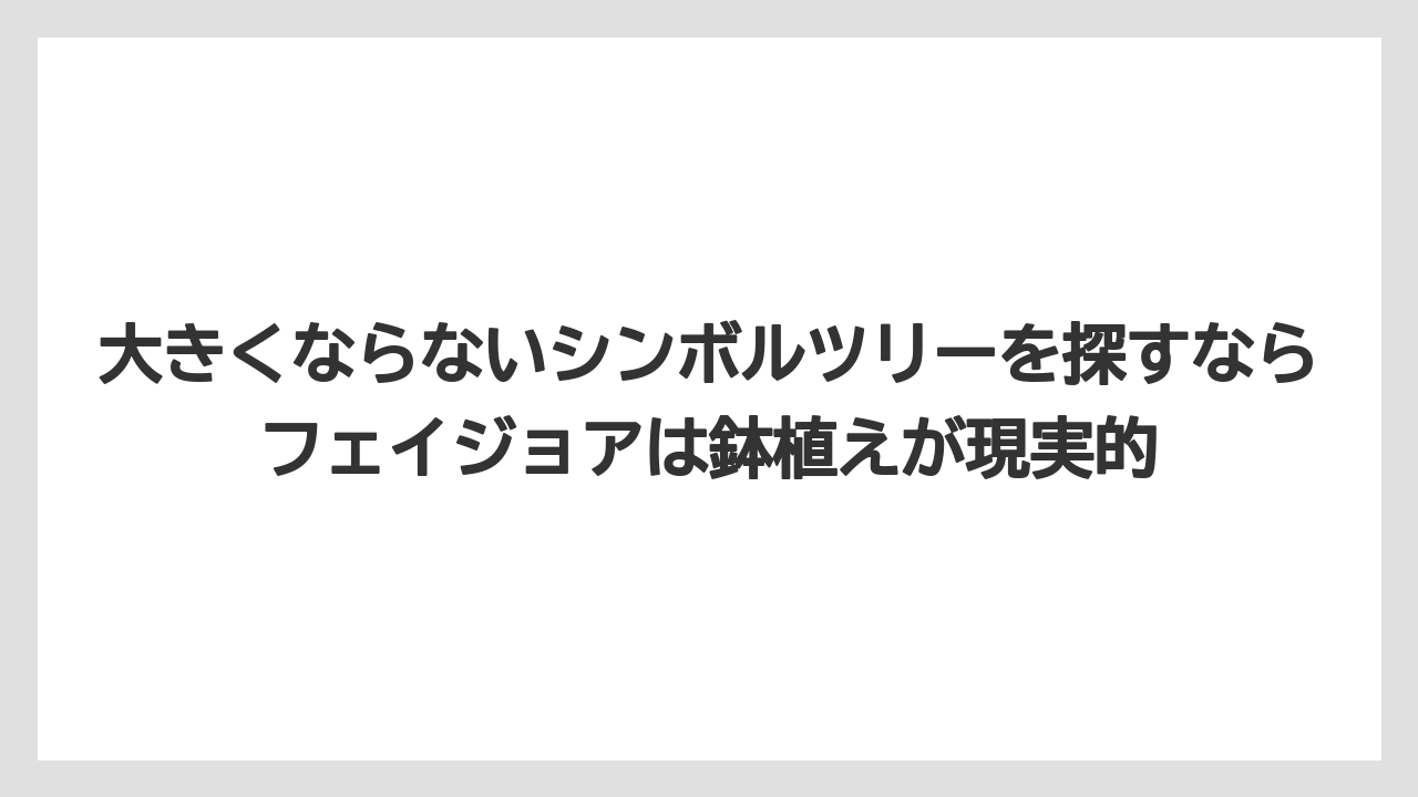 【フェイジョア】【後悔】【栽培】【植え】大きくならないシンボルツリーを探すならフェイジョアは鉢植えが現実的