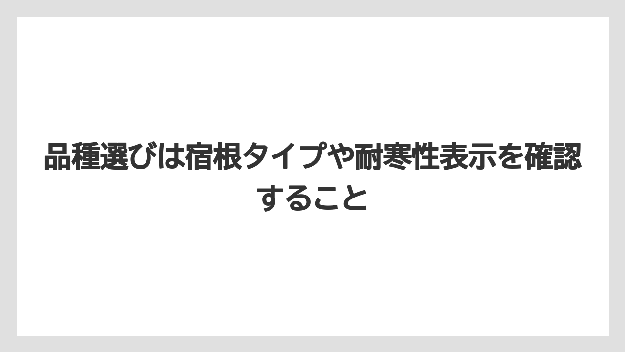 【栽培】【農園】【農業】品種選びは宿根タイプや耐寒性表示を確認すること