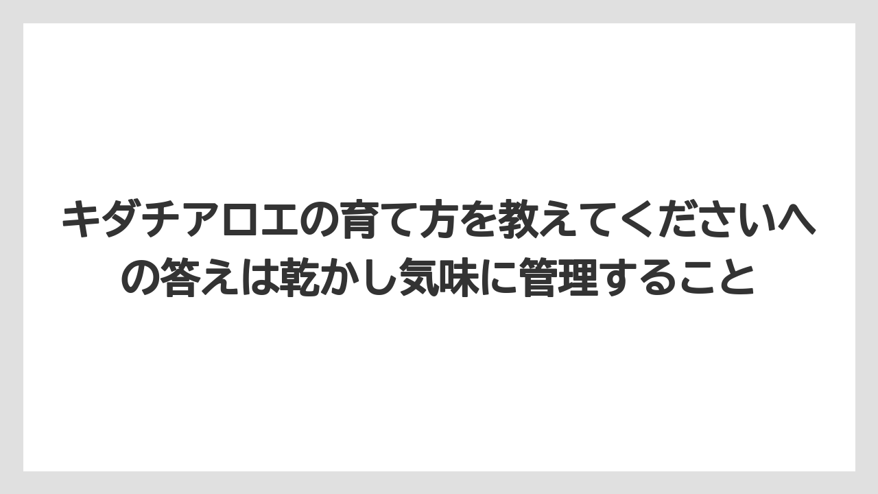 【栽培】【農園】【農業】キダチアロエの育て方を教えてくださいへの答えは乾かし気味に管理すること