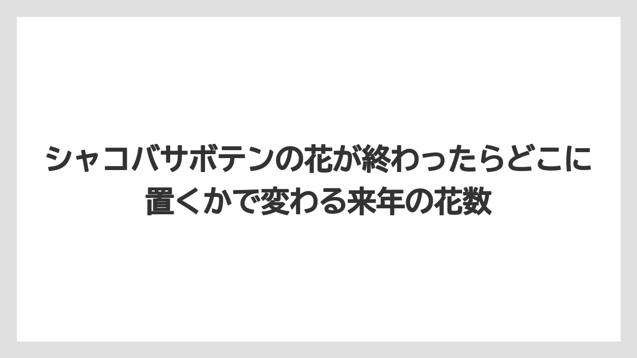 【サボテン】【栽培】【農業】シャコバサボテン元気がないときは置き場所と水やりを見直すこと