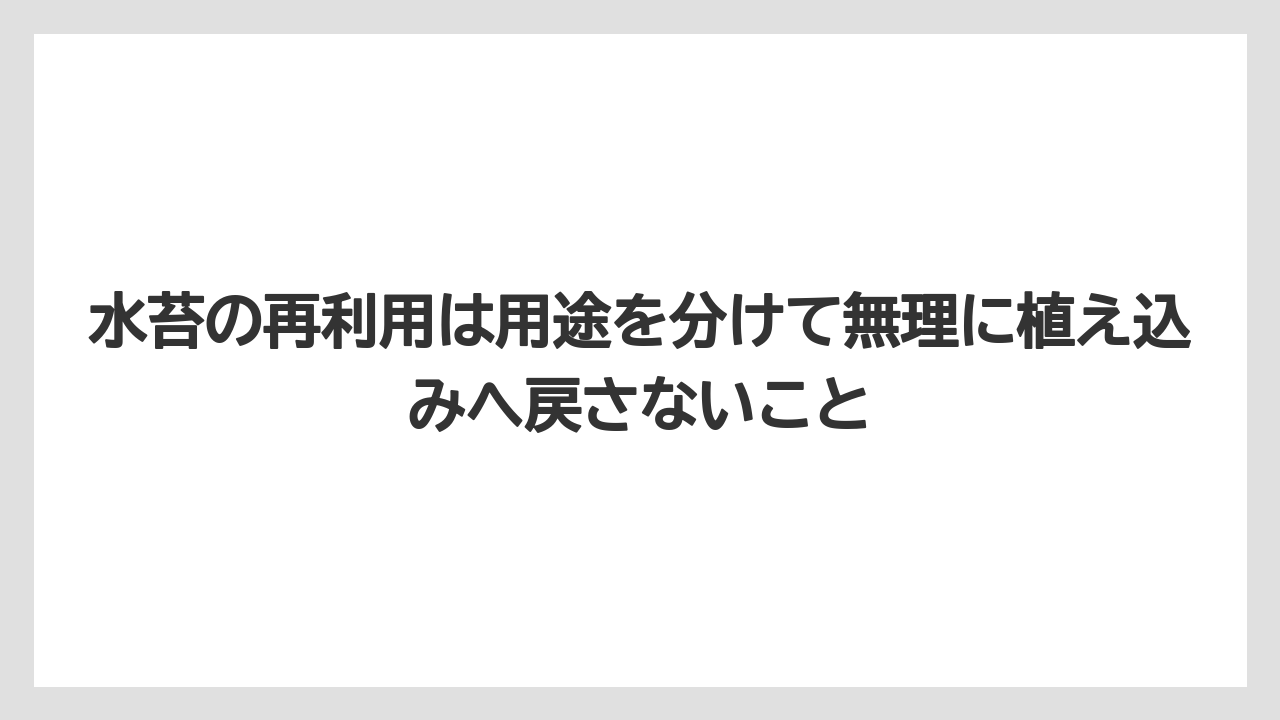 【栽培】【胡蝶蘭】【農業】水苔の再利用は用途を分けて無理に植え込みへ戻さないこと