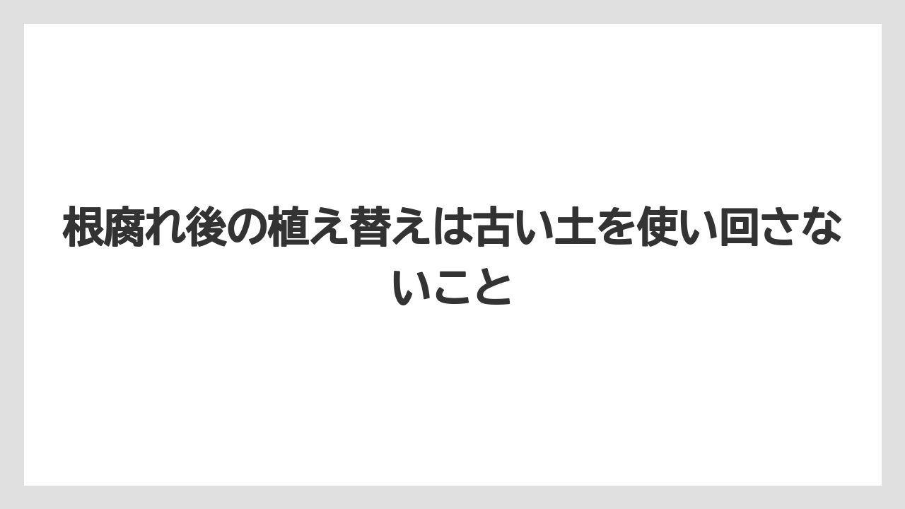 根腐れ後の植え替えは古い土を使い回さないこと