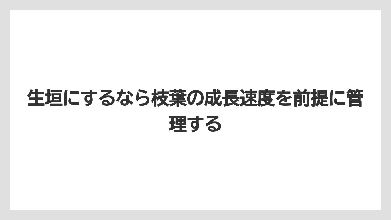 【栽培】【植え】【農業】生垣にするなら枝葉の成長速度を前提に管理する