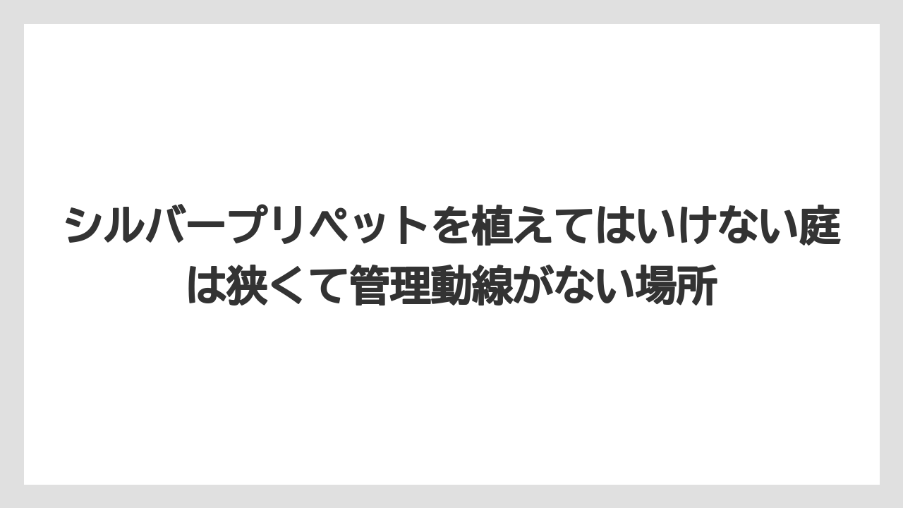 【レモン】【栽培】【農業】シルバープリペットを植えてはいけない庭は狭くて管理動線がない場所
