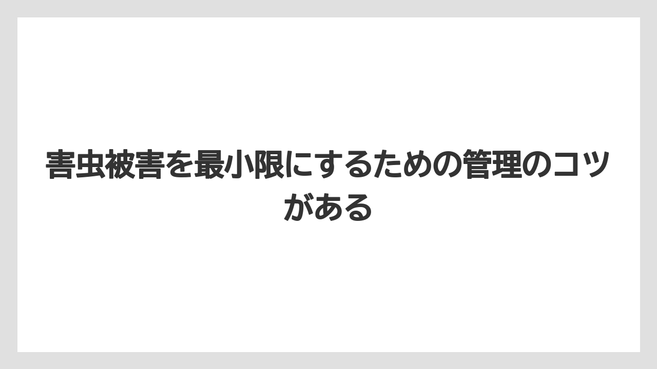 【いけない】【庭】【栽培】【植え】【葉】害虫被害を最小限にするための管理のコツがある