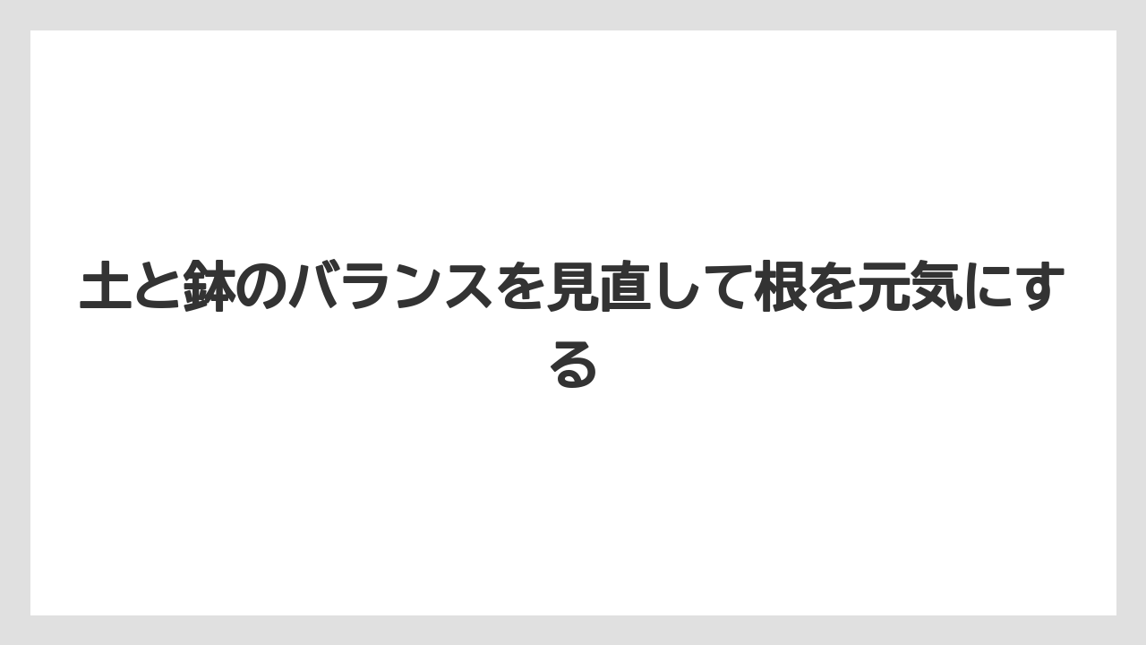 【栽培】【花】【葉】土と鉢のバランスを見直して根を元気にする