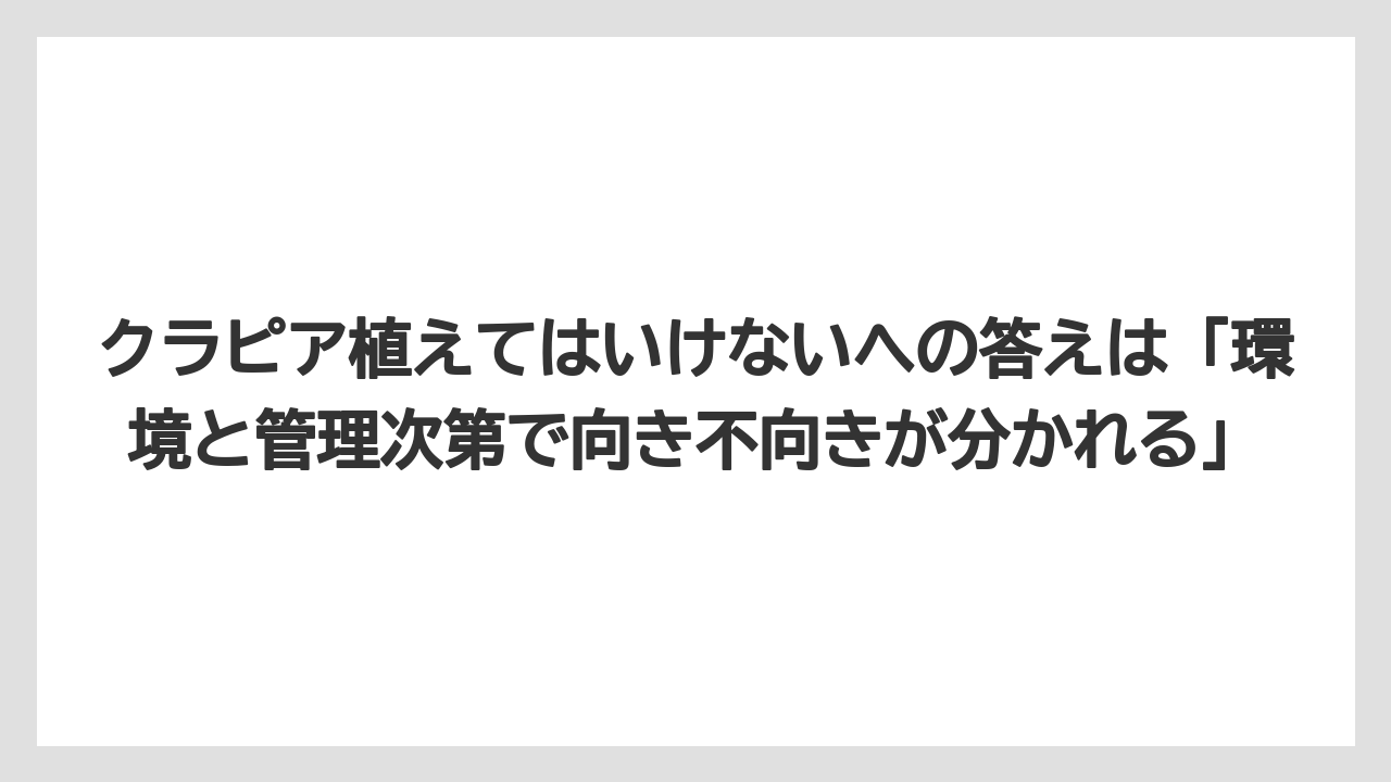 【バラ】【栽培】【農業】クラピア植えてはいけないへの答えは「環境と管理次第で向き不向きが分かれる」