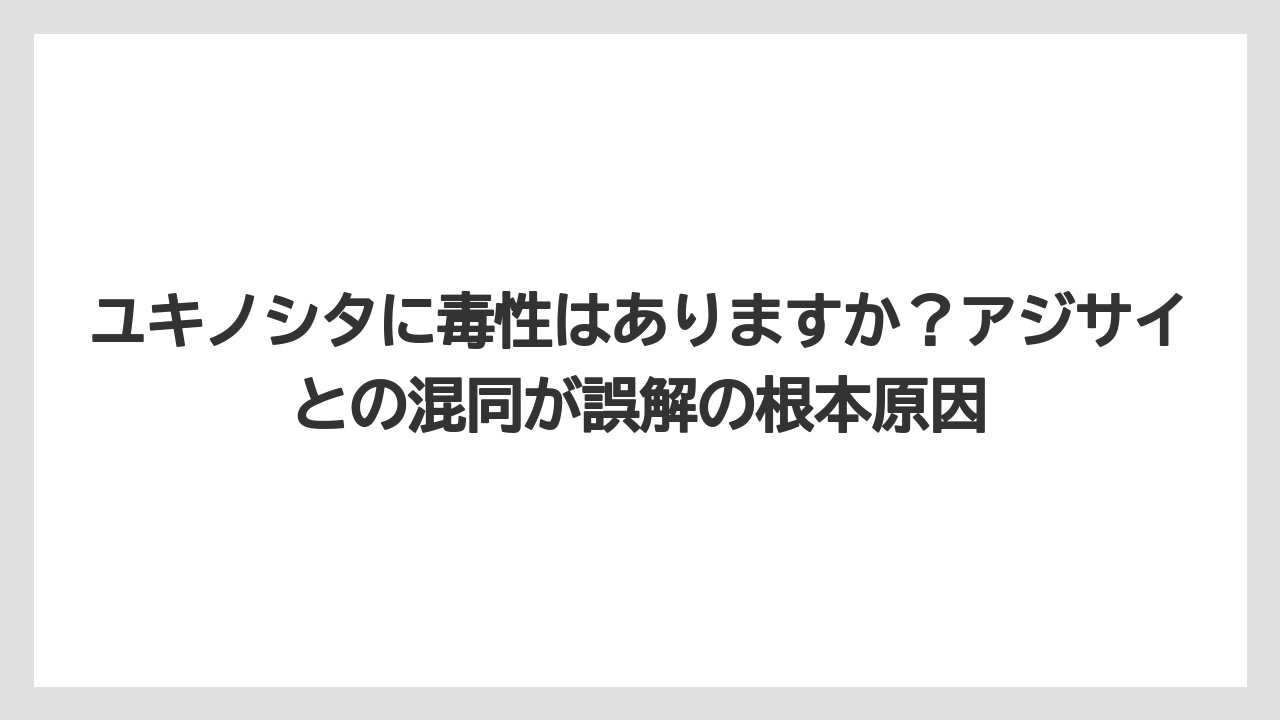 【栽培】【農園】【農業】ユキノシタに毒性はありますか？アジサイとの混同が誤解の根本原因