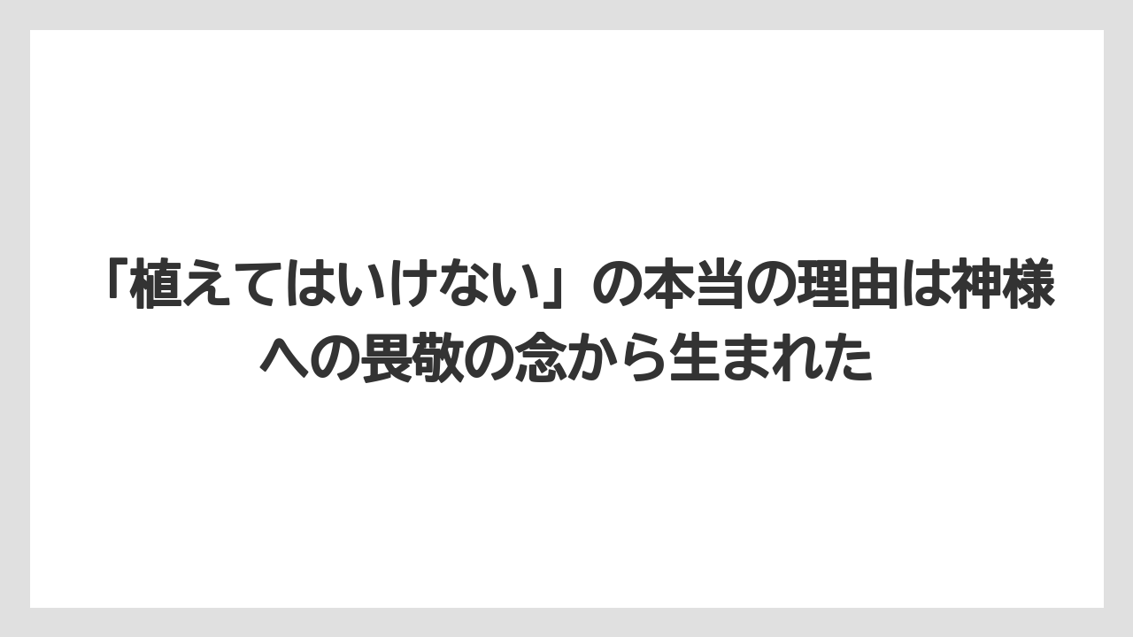 【いけない】【庭】【栽培】【植え】【育て方】「植えてはいけない」の本当の理由は神様への畏敬の念から生まれた