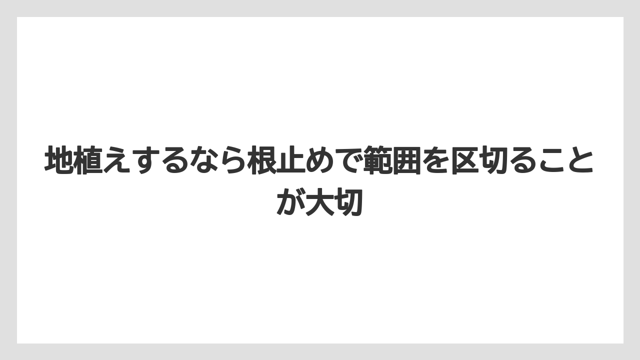 【ミント】【栽培】【猫】地植えするなら根止めで範囲を区切ることが大切