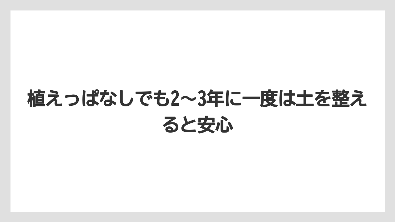 【栽培】【農園】【農業】植えっぱなしでも2〜3年に一度は土を整えると安心
