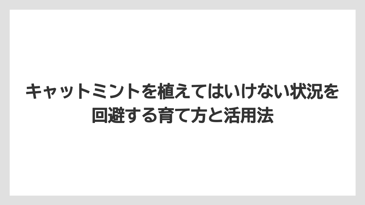 【ミント】【栽培】【猫】庭に絶対植えてはいけない植物との比較：キャットミントはどのくらい危険か