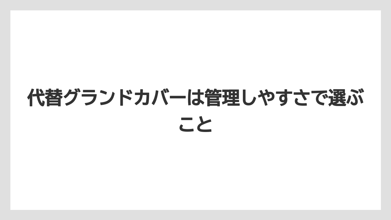 【庭】【栽培】【植え】【毒】【猫】代替グランドカバーは管理しやすさで選ぶこと