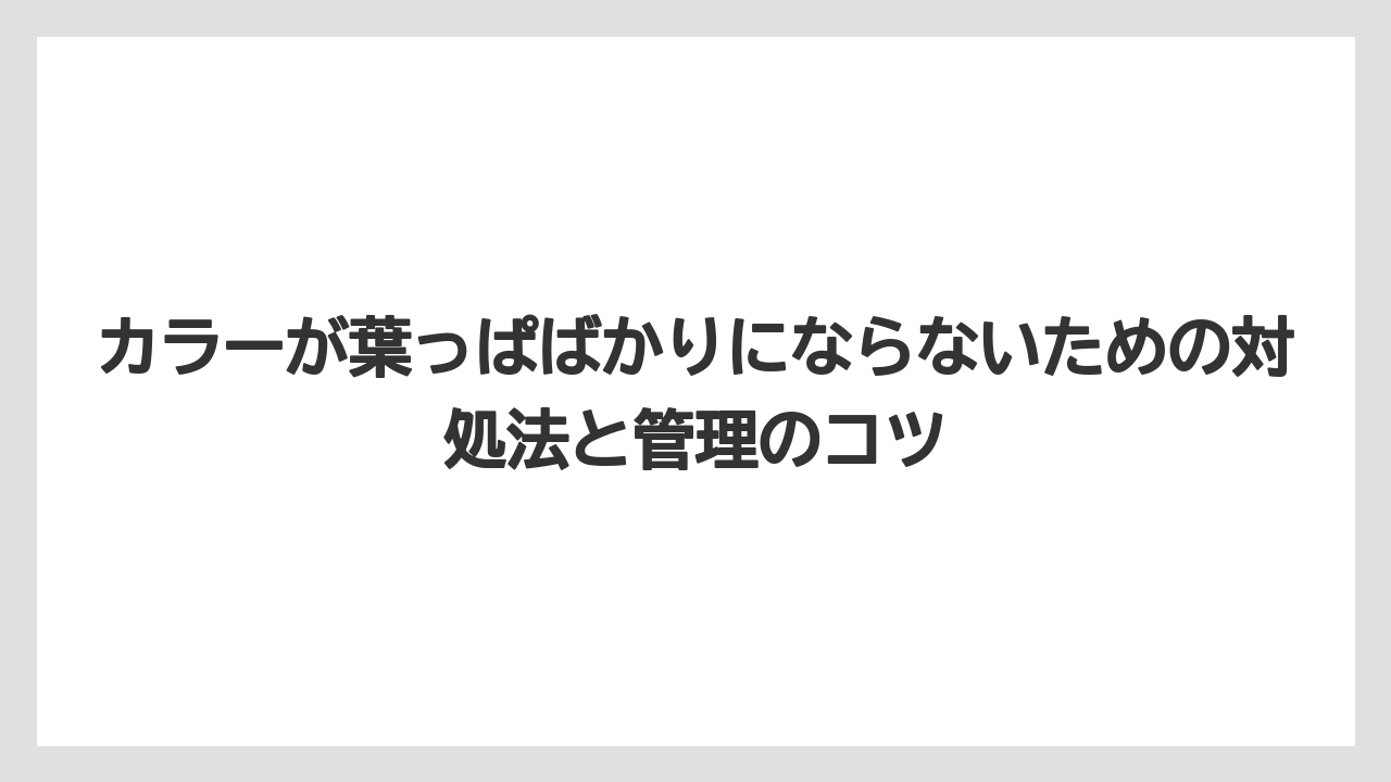 【栽培】【花】【葉】過湿・水はけの悪さが根を傷める