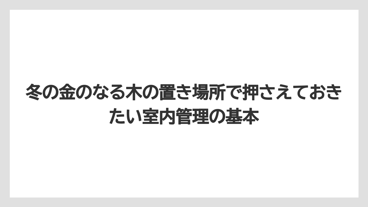 冬の金のなる木の置き場所で押さえておきたい室内管理の基本