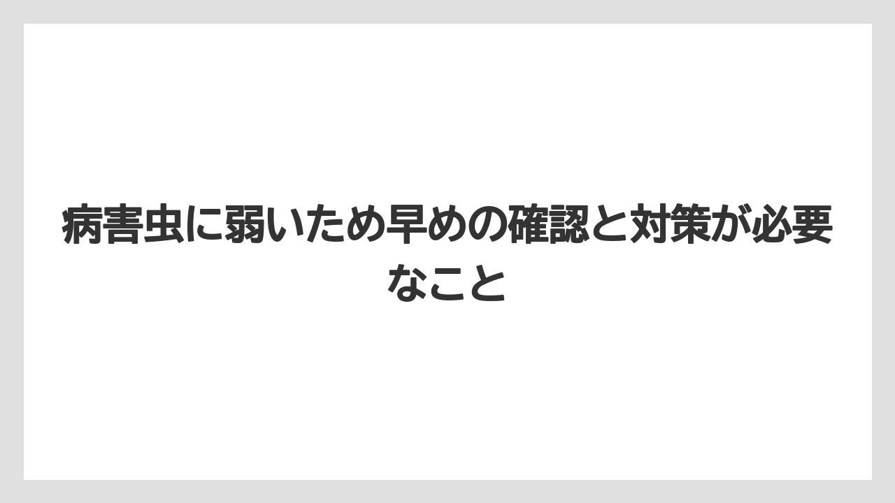 【バラ】【栽培】【農業】病害虫に弱いため早めの確認と対策が必要なこと