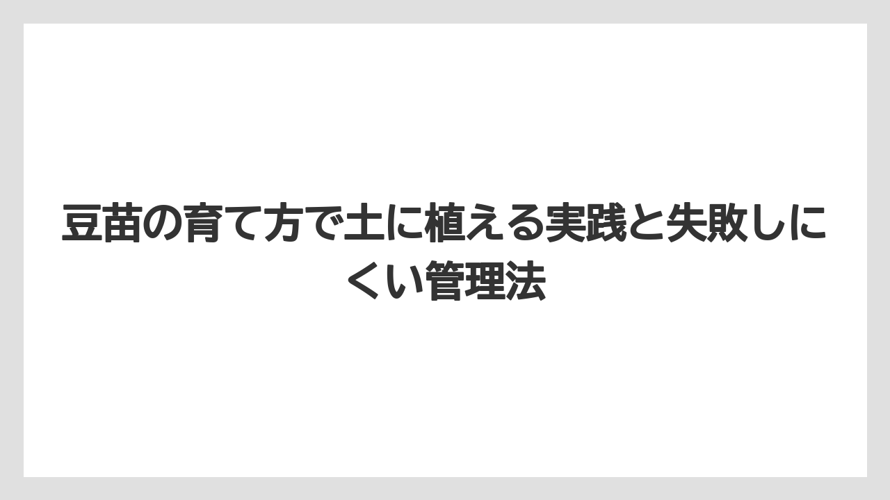 【土】【栽培】【植え】【育て方】【豆苗】豆苗のNG行動は豆を水に沈めることと直射日光に当てすぎること