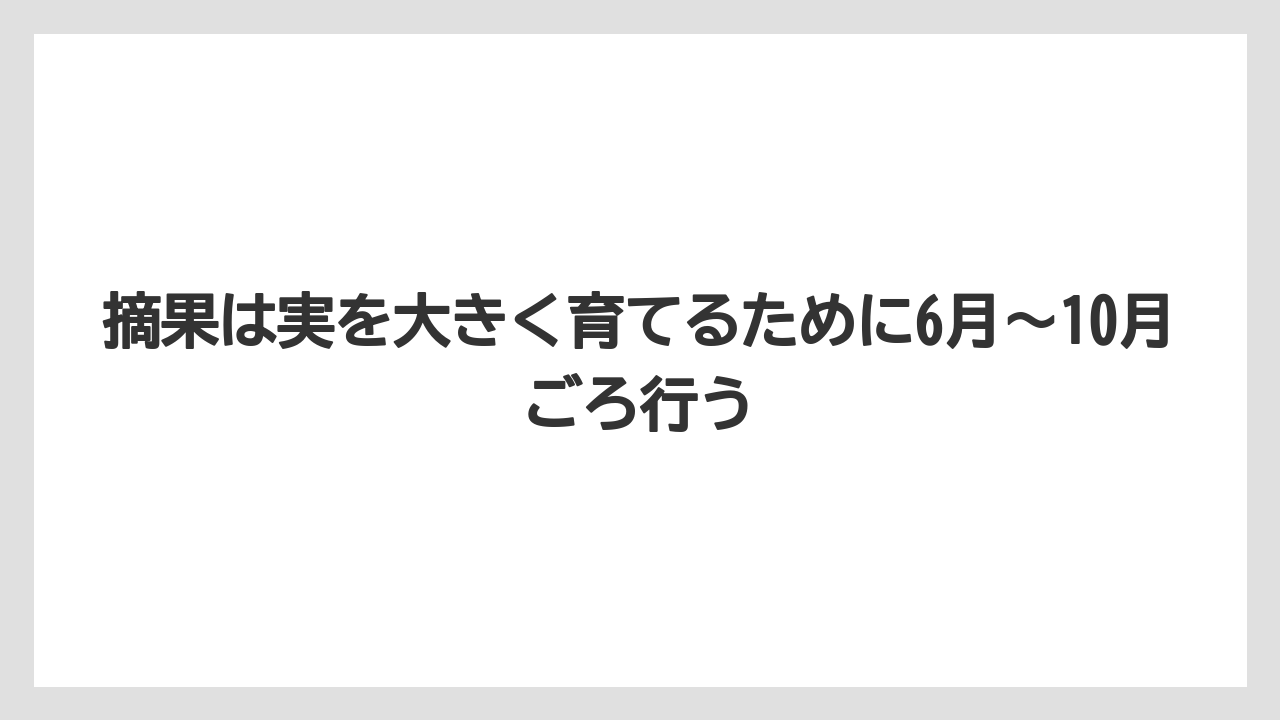 【剪定】【栽培】【農業】摘果は実を大きく育てるために6月〜10月ごろ行う