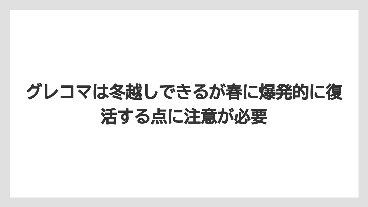【栽培】【農園】【農業】グレコマは冬越しできるが春に爆発的に復活する点に注意が必要