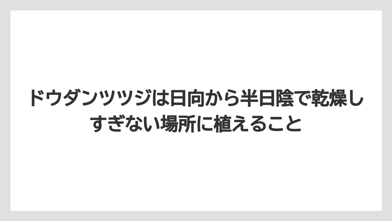 【栽培】【農園】【農業】ドウダンツツジは日向から半日陰で乾燥しすぎない場所に植えること