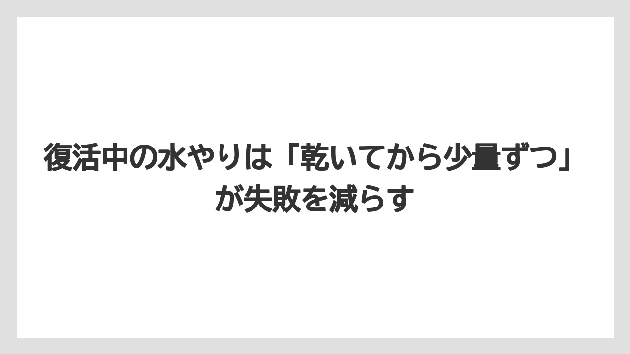 【木】【栽培】【農業】復活中の水やりは「乾いてから少量ずつ」が失敗を減らす