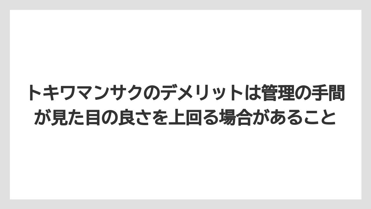 【栽培】【農園】【農業】トキワマンサクのデメリットは管理の手間が見た目の良さを上回る場合があること