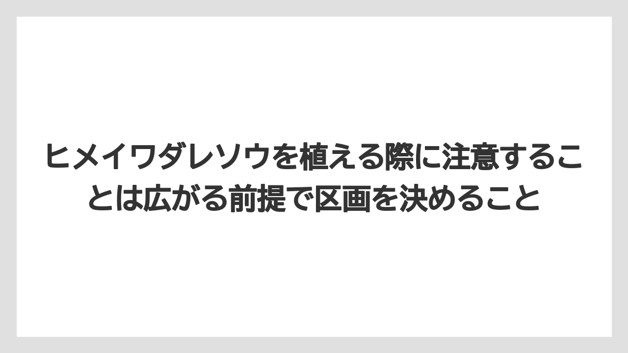 【栽培】【農園】【農業】ヒメイワダレソウを植える際に注意することは広がる前提で区画を決めること
