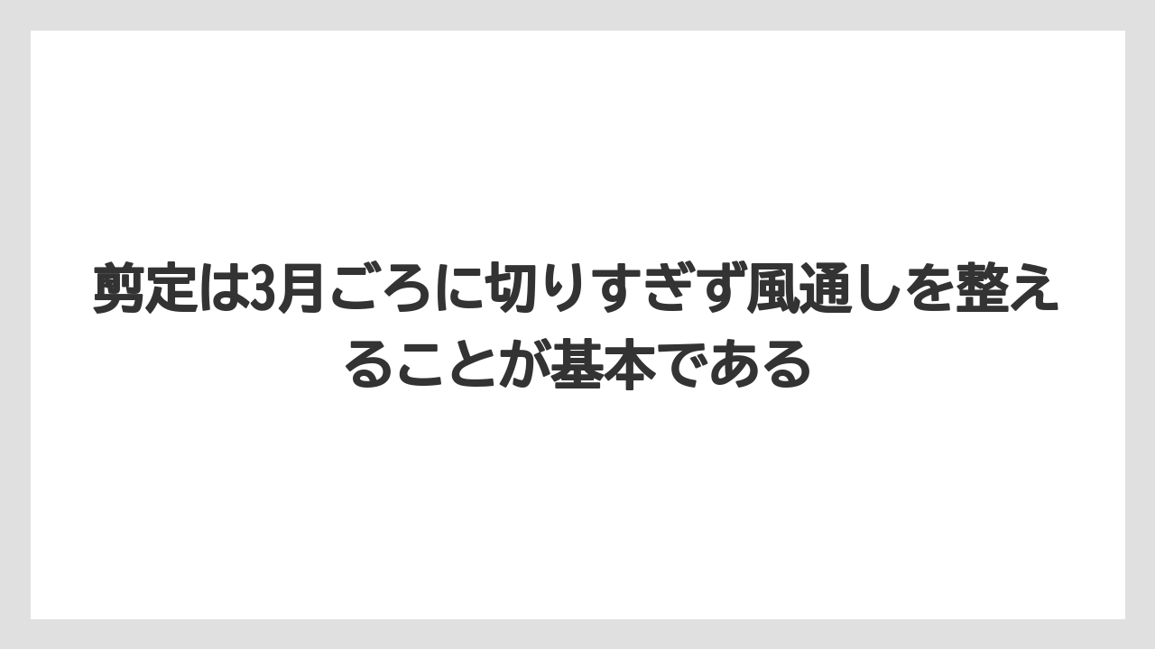 【レモン】【栽培】【農業】剪定は3月ごろに切りすぎず風通しを整えることが基本である