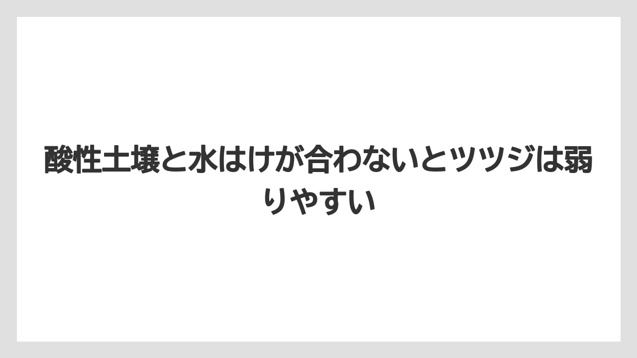 【いけない】【庭】【後悔】【栽培】【植え】酸性土壌と水はけが合わないとツツジは弱りやすい