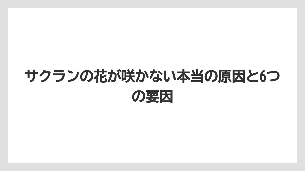 サクランの花が咲かない本当の原因と6つの要因