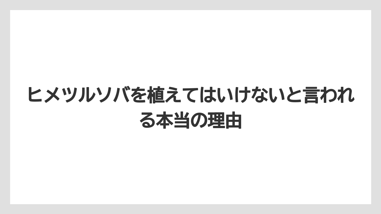 ヒメツルソバを植えてはいけないと言われる本当の理由