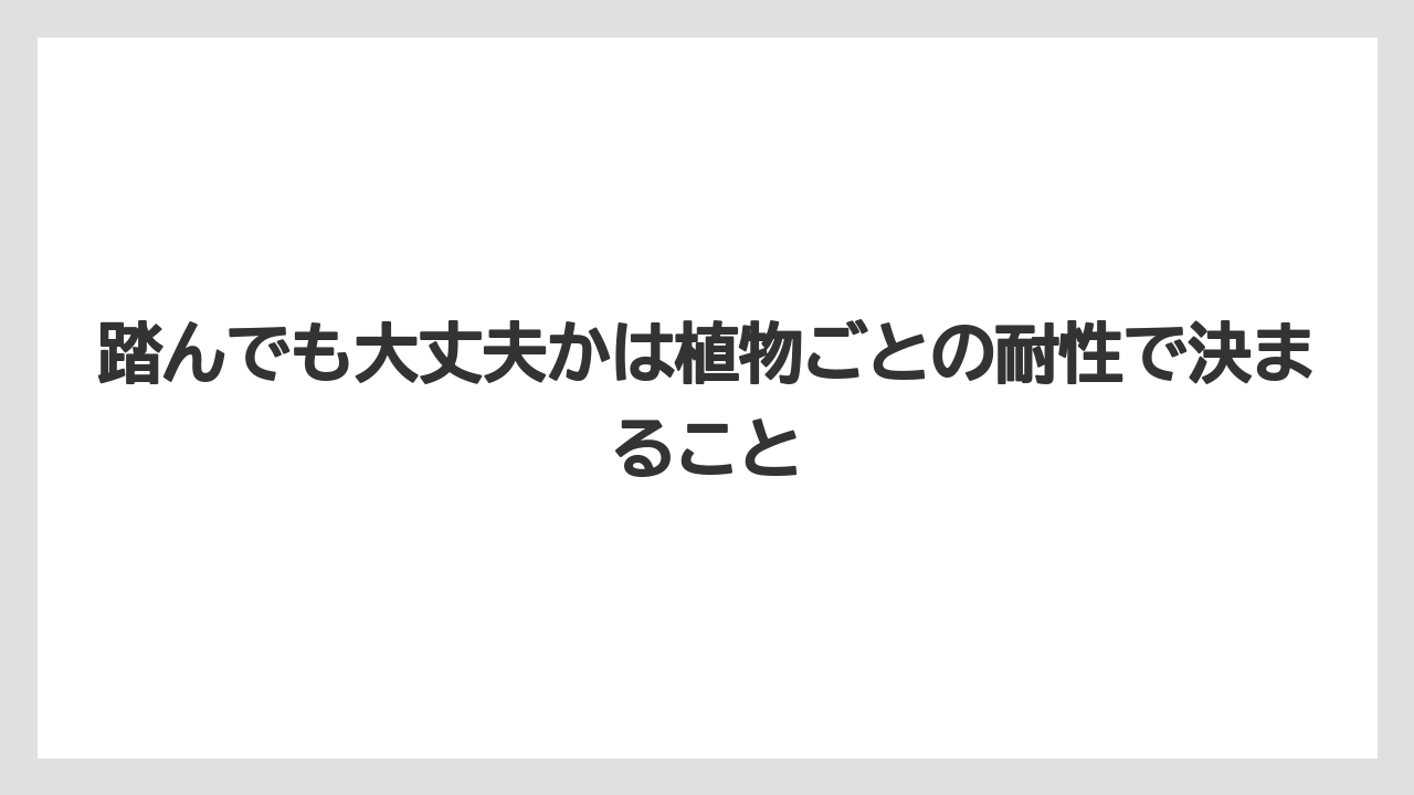 【栽培】【農園】【農業】踏んでも大丈夫かは植物ごとの耐性で決まること