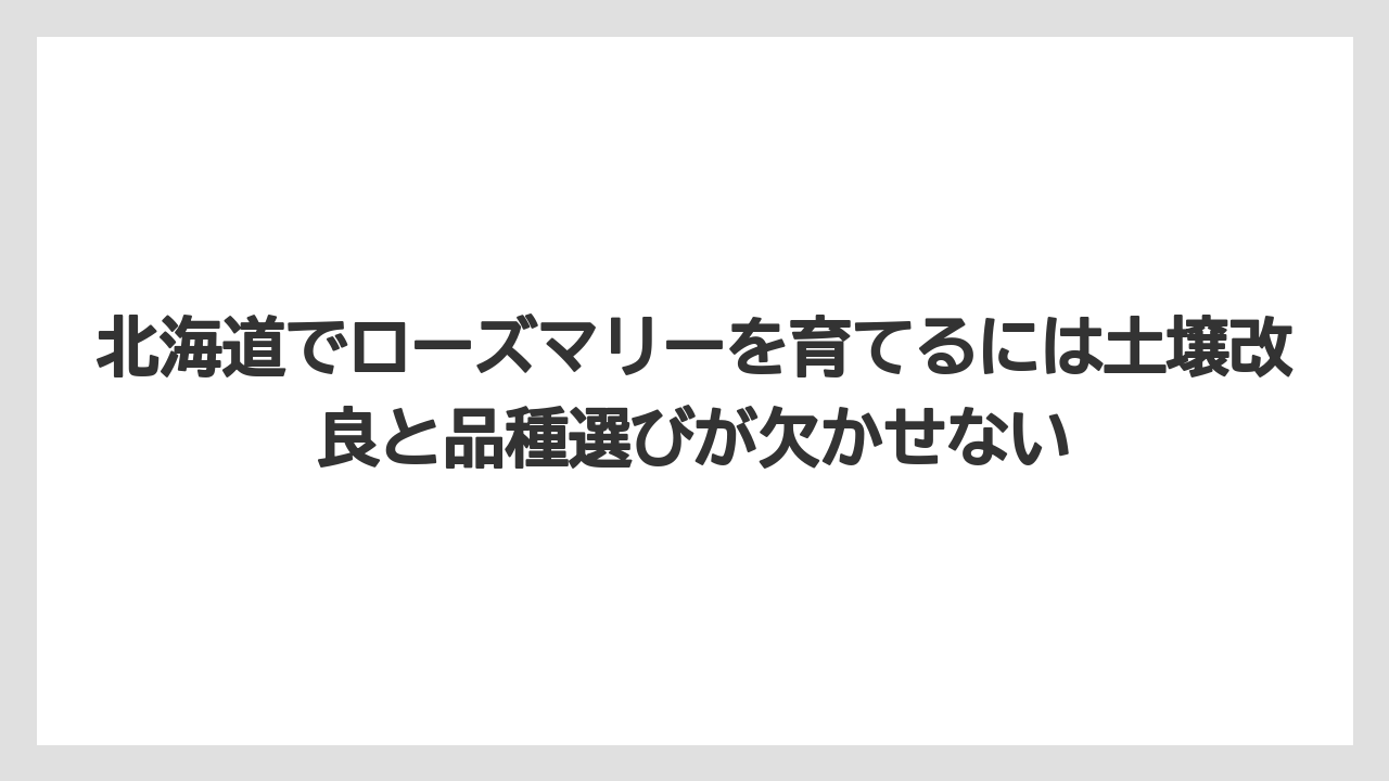 【栽培】【農園】【農業】北海道でローズマリーを育てるには土壌改良と品種選びが欠かせない