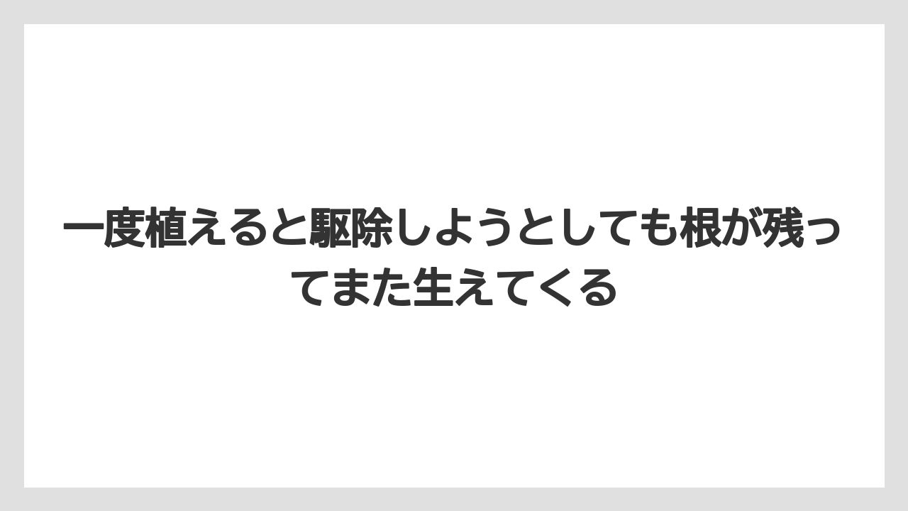 【栽培】【農園】【農業】一度植えると駆除しようとしても根が残ってまた生えてくる