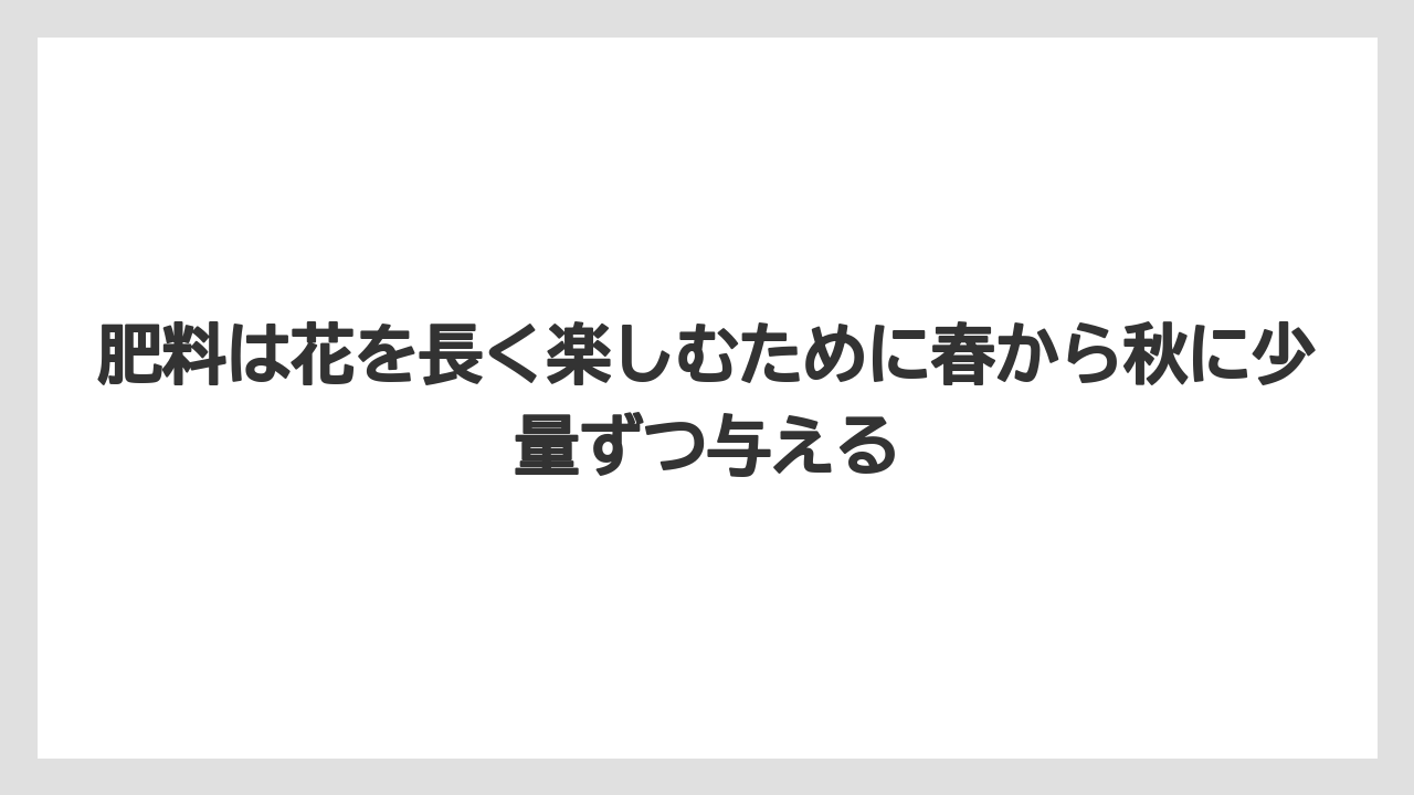 【ほったらかし】【栽培】【植え】肥料は花を長く楽しむために春から秋に少量ずつ与える