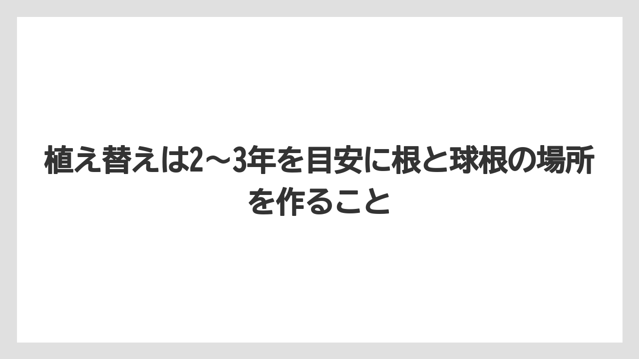【栽培】【農園】【農業】植え替えは2〜3年を目安に根と球根の場所を作ること