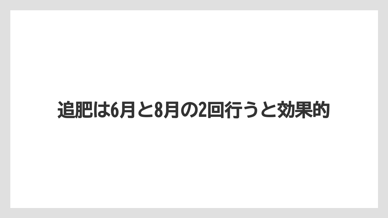 【栽培】【植え】【農業】追肥は6月と8月の2回行うと効果的