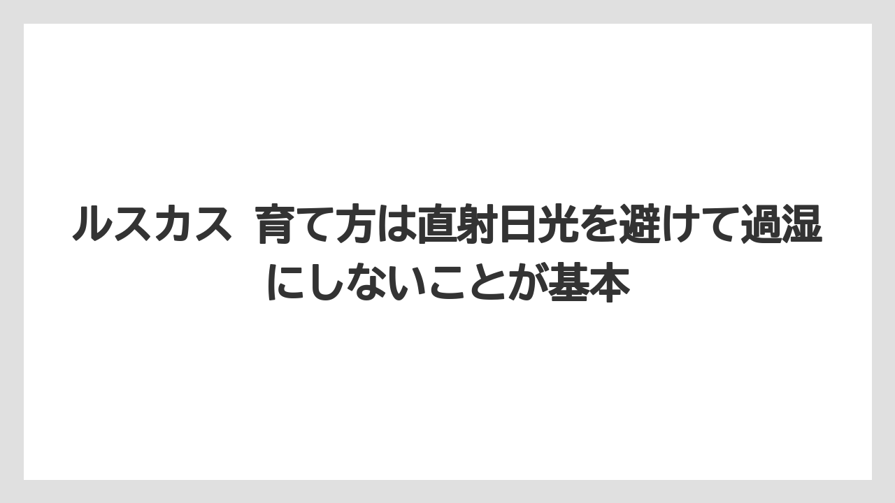 【ルスカス】【栽培】【花】【葉】ルスカス 育て方は直射日光を避けて過湿にしないことが基本