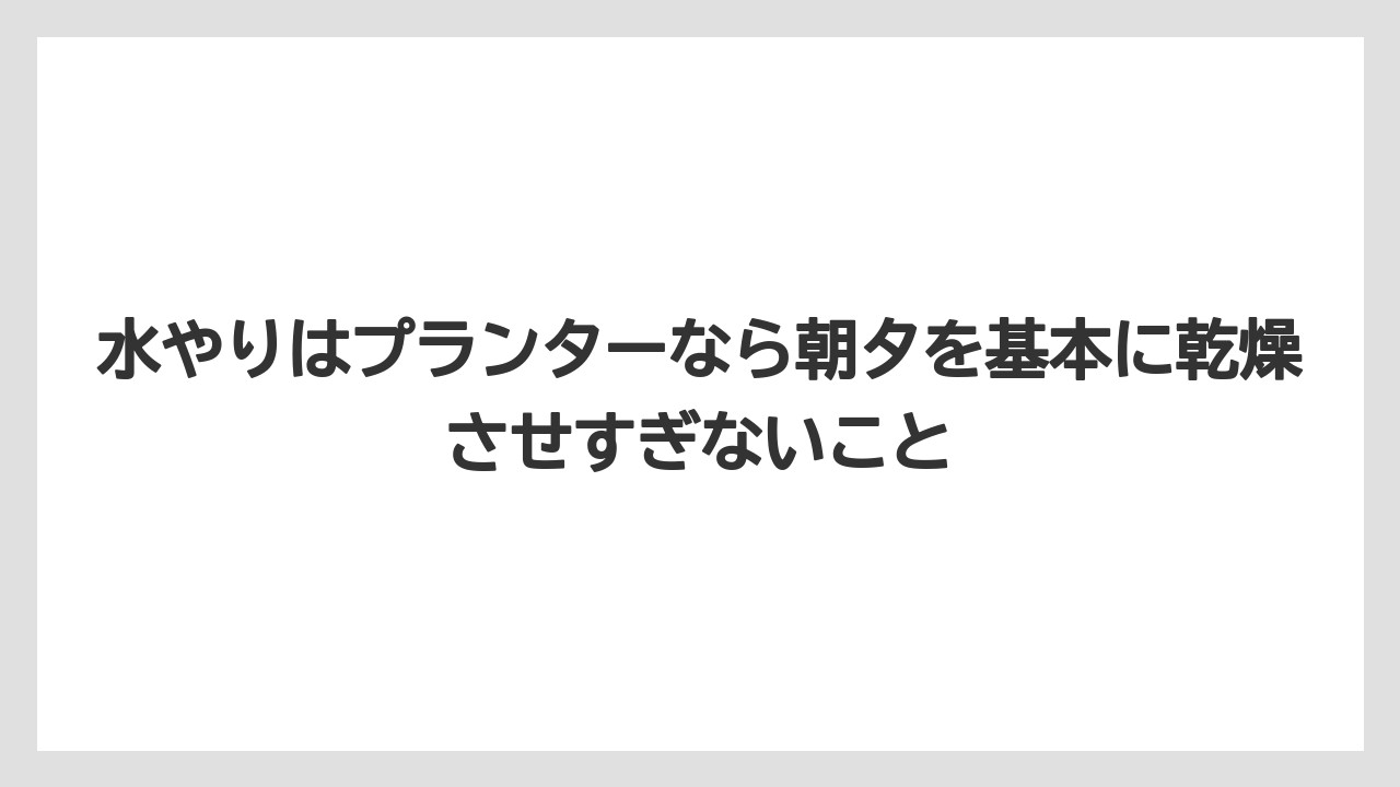 【ゴーヤ】【栽培】【花】水やりはプランターなら朝夕を基本に乾燥させすぎないこと