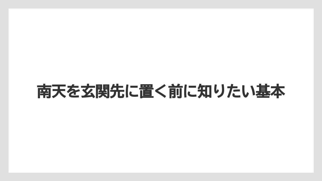 南天を玄関先に置く前に知りたい基本